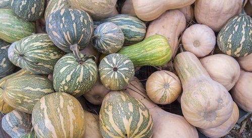 宜职院吃瓜,揭秘校园热点背后的故事